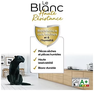 Peinture murale le Blanc haute résistance blanc mat 10L Dulux Valentine