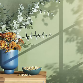 Peinture intérieure couleur murs, boiseries et radiateurs GoodHome satin edenberry vert 2.5L