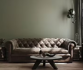 Peinture Tollens premium murs, boiseries et radiateurs vert kaki velours 50ml