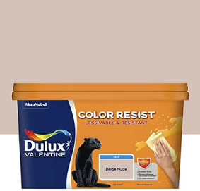 Peinture couleur murs et boiseries color resist Dulux Valentine beige nude mat 2,5L