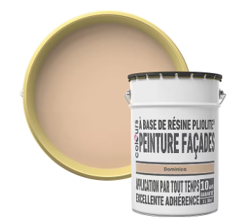 Peinture extérieure façade Pliolite Colours Dominica 5L