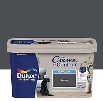 Peinture couleur murs, boiseries et radiateurs Crème de couleur Dulux Valentine noir poivre mat 2,5L