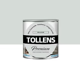 Peinture Tollens premium murs, boiseries et radiateurs gris lunaire mat 0,75L