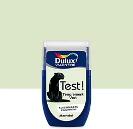Testeur de peinture Crème De Couleur Dulux Valentine Tendrement Vert 30 ml