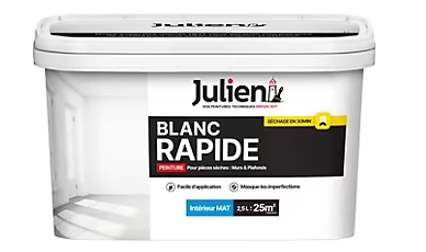 Peinture murs et plafonds blanc rapide Julien blanc mat 2,5L