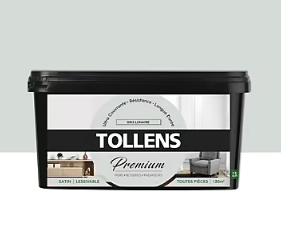 Peinture Tollens premium murs, boiseries et radiateurs gris lunaire satin 2,5L