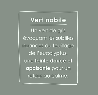 Peinture intérieure multisupport Ripolin O'pur vert nobile satin velouté 2L