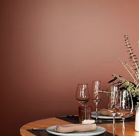 Peinture murs et boiseries Naturéa par GoodHome terre d'argile velours 2L