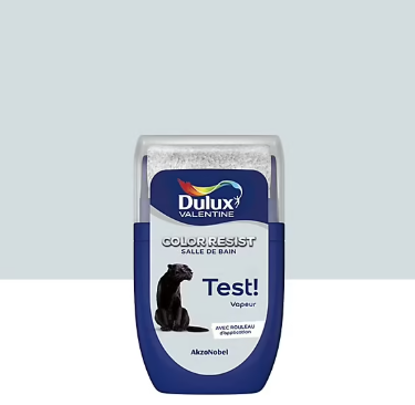 Testeur de peinture Color Resist salle de bains Dulux Valentine satin vapeur 30ml