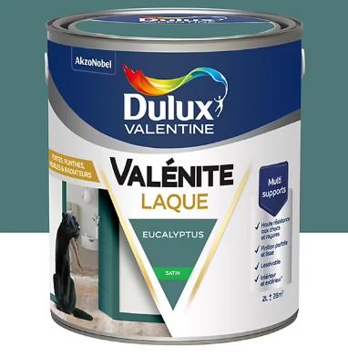 Laque Valénite Dulux Valentine Acrylique satin vert eucalyptus 2L