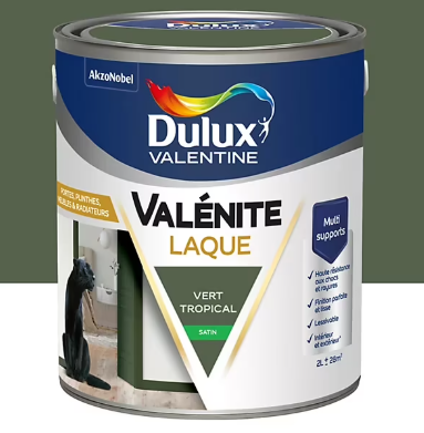 Laque Valénite Dulux Valentine Acrylique satin vert tropical 2L