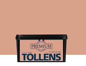 Peinture Tollens premium murs, boiseries et radiateurs velours beige sahara 2,5L