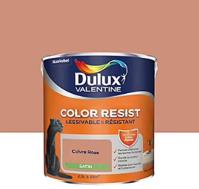 Peinture murs et boiseries Color Resist Dulux Valentine satin cuivre rose 2,5L