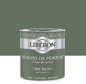Peinture murs, plafonds et boiseries Velours de peinture vert treillis Libéron 0,5L