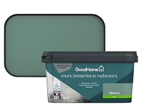 Peinture intérieure couleur murs, boiseries et radiateurs GoodHome Kilkenny satin vert 2,5L