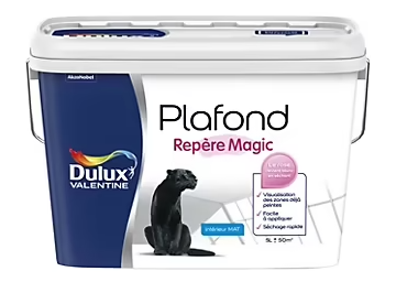 Peinture plafond repère magic Dulux Valentine blanc mat 5L