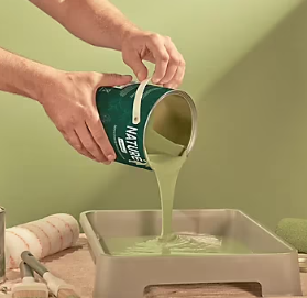 Peinture murs et boiseries Naturéa par GoodHome trèfle velours 0.5L
