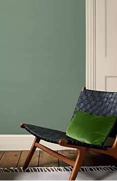 Peinture Valentine murs et boiseries Dulux Valentine vert yunnan velouté mat 2L