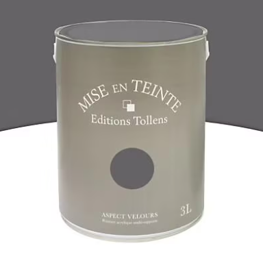 Peinture murs et boiseries Tollens Mise en teinte zinc mat velours 3L