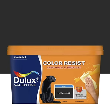 Peinture couleur murs et boiseries color resist Dulux Valentine noir profond mat 2,5L