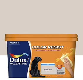 Peinture couleur murs et boiseries color resist Dulux Valentine gris galet clair mat 2,5L