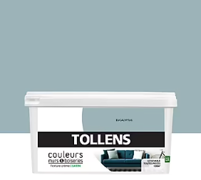 Peinture murs et boiseries Tollens eucalyptus satin 2,5L
