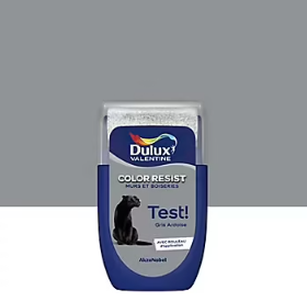 Testeur de peinture Color Resist murs et boiseries Dulux Valentine mat gris ardoise 30ml
