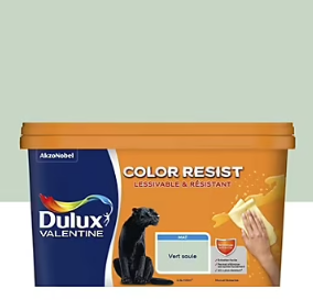 Peinture couleur murs et boiseries color resist Dulux Valentine vert saule mat 2,5L
