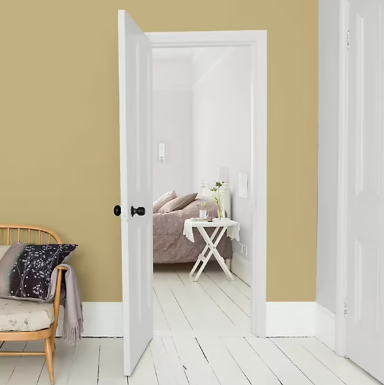 Laque Valénite Dulux Valentine Acrylique brillant blanc 500ml