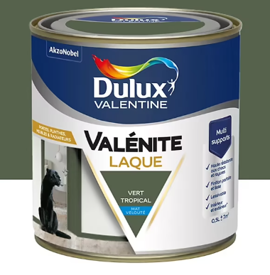 Laque acrylique Valénite Dulux Valentine velouté vert tropical mat 500ml