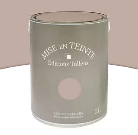 Peinture murs et boiseries Tollens Mise en teinte chamois mat velours 3L