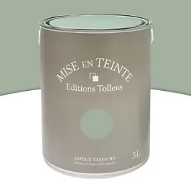 Peinture murs et boiseries Tollens Mise en teinte vert veronese mat velours 3L