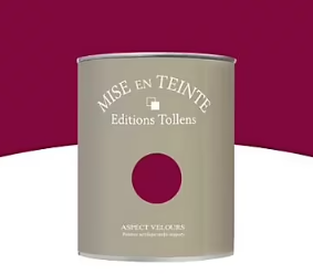 Peinture murs et boiseries Tollens Mise en teinte castille mat velours 1L