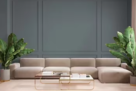 Testeur peinture Tollens premium murs, boiseries et radiateurs gris carbone mat 50ml