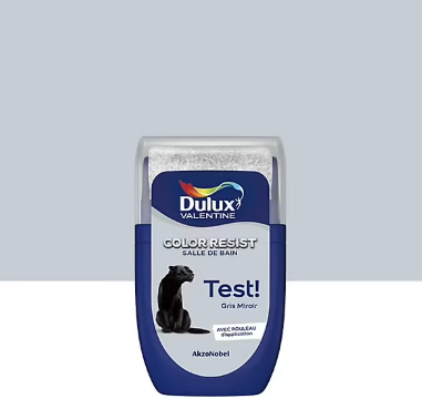 Testeur de peinture Color Resist salle de bains Dulux Valentine satin gris miroir 30ml