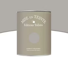Peinture murs et boiseries Tollens Mise en teinte granit mat velours 1L