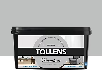 Peinture Tollens premium murs, boiseries et radiateurs reflets gris mat 2,5L