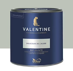 Peinture Valentine murs et boiseries Dulux Valentine vert douceur de l'aube velouté mat 2L