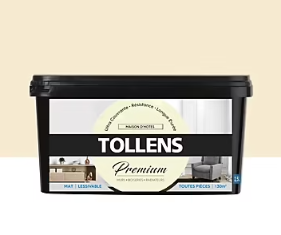 Peinture Tollens premium murs, boiseries et radiateurs maison d'hôtes mat 2,5L
