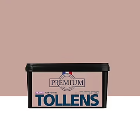 Peinture Tollens premium murs, boiseries et radiateurs velours rose vénitien 2,5L