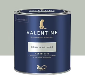 Peinture Valentine murs et boiseries Dulux Valentine vert douceur de l'aube velouté mat 0,5L