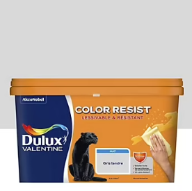 Peinture couleur murs et boiseries color resist Dulux Valentine gris tendre mat 2,5L