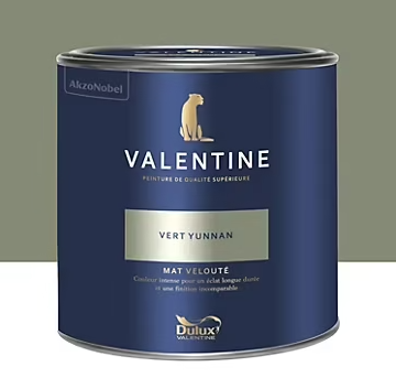 Peinture Valentine murs et boiseries Dulux Valentine vert yunnan velouté mat 2L