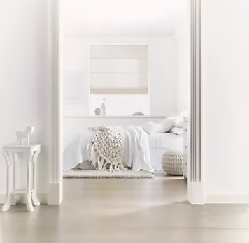 Peinture intérieur murs et plafonds Express blanc lumineux mat 10L
