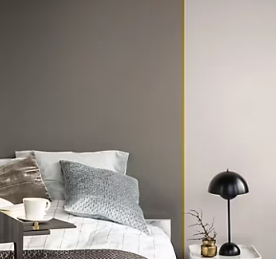 Peinture couleur murs, boiseries et radiateurs Crème de couleur Dulux Valentine terre cendrée satin 1,25L
