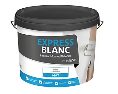 Peinture intérieur murs et plafonds Express blanc lumineux mat 10L