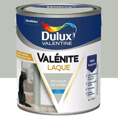 Laque Valénite Dulux Valentine Acrylique mat velouté vert douceur de l'aube 2L