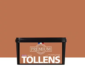 Peinture Tollens premium murs, boiseries et radiateurs marron canyon velours 2,5L