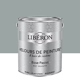 Peinture multisupport murs, plafonds et boiseries Velours de peinture gris corne de brume Libéron 2,5L