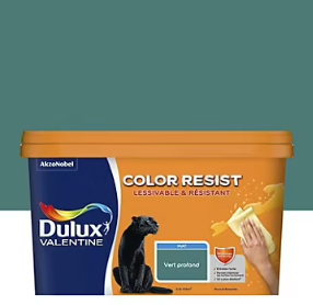 Peinture couleur murs et boiseries color resist Dulux Valentine vert profond mat 2,5L